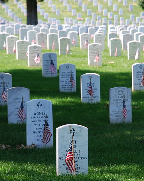 14Arlington_on_Memorial_Day